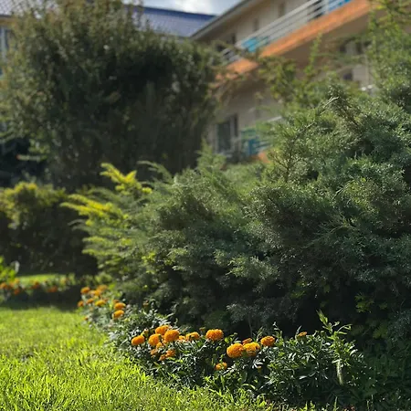 Oranj Pensiune 3*